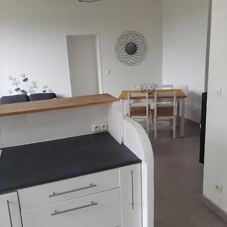 公寓 - Superbe Lumineux Saint-Chéron